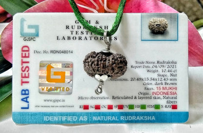 15 Mukhi Rudraksha Indonesia 20 mm