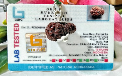 15 Mukhi Rudraksha Indonesia 23 mm