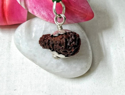 15 Mukhi Rudraksha Indonesia 23 mm