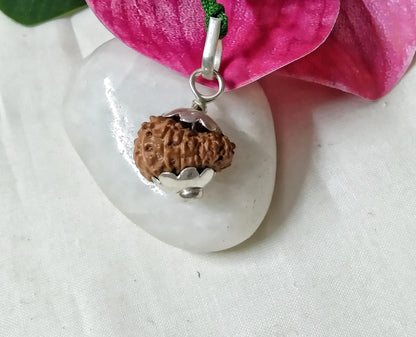 15 Mukhi Rudraksha Indonesia 18 mm