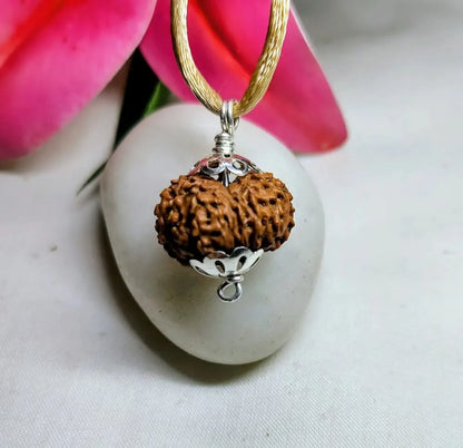 16 Mukhi Rudraksha Indonesia 20 mm