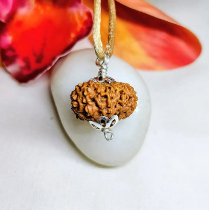 16 Mukhi Rudraksha Indonesia 23 mm