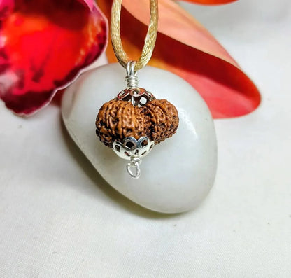 16 Mukhi Rudraksha Indonesia 21 mm