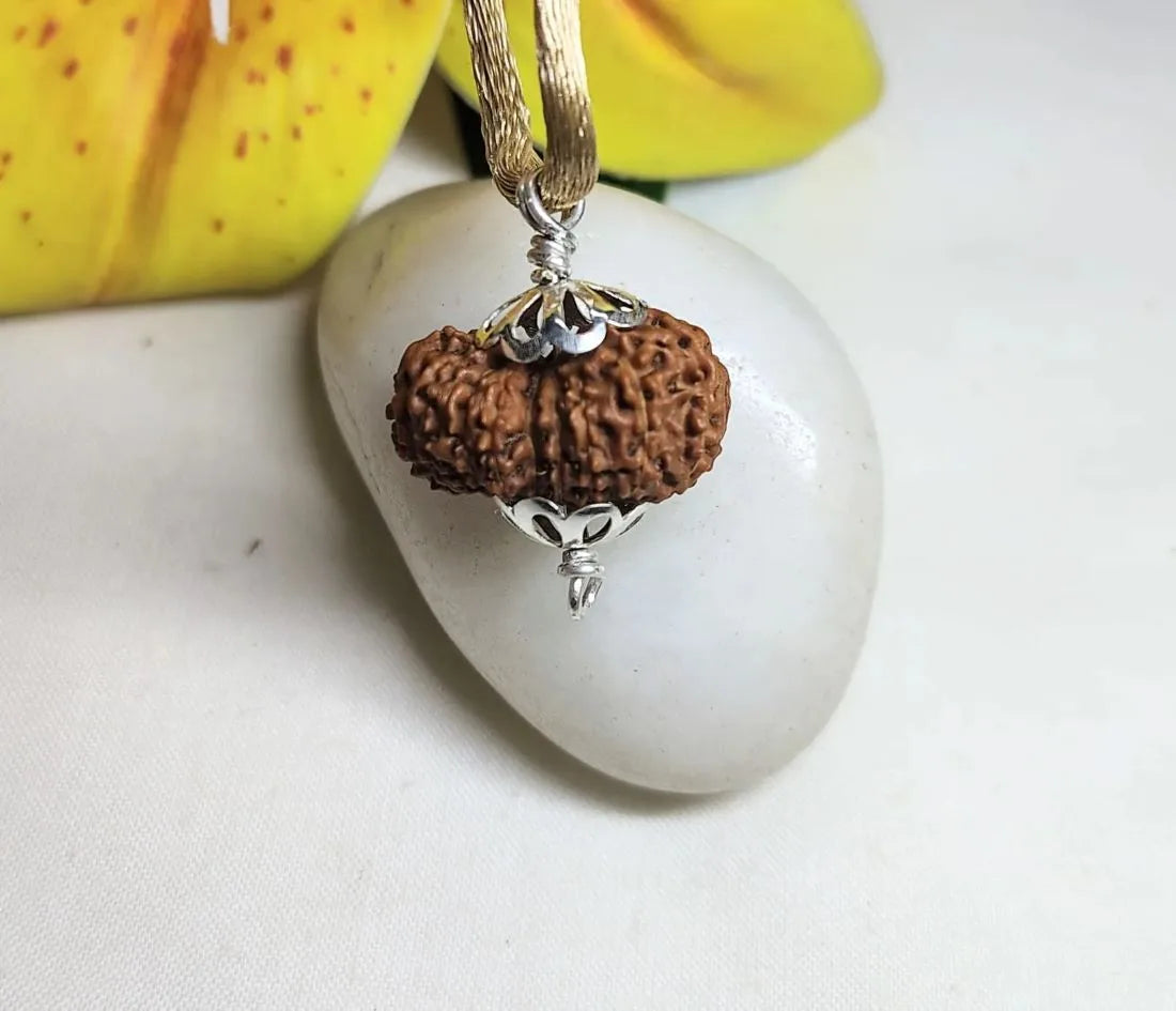 16 Mukhi Rudraksha Indonesia 22 mm