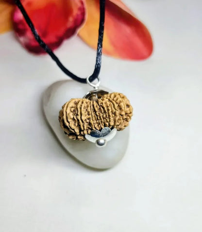16 Mukhi Rudraksha Nepal 32 mm