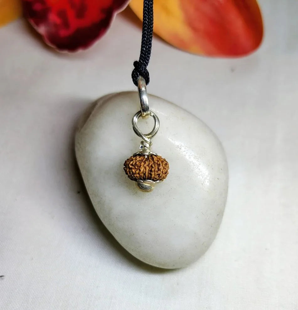 17 Mukhi Rudraksha Indonesia 10 mm