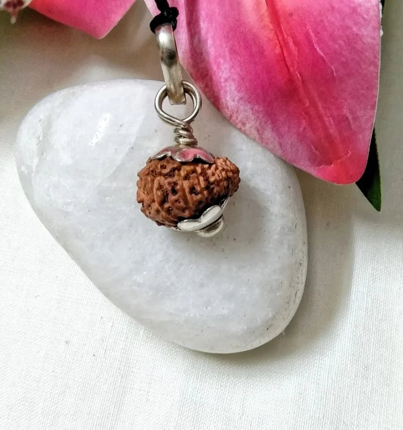 17 Mukhi Rudraksha Indonesia 14 mm