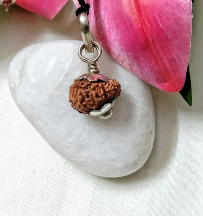 17 Mukhi Rudraksha Indonesia 14 mm