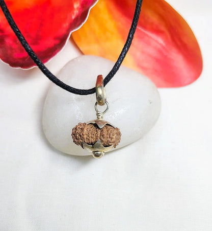 17 Mukhi Rudraksha Indonesia 16 mm