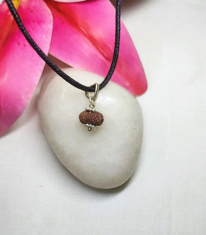 17 Mukhi Rudraksha Indonesia 8 mm