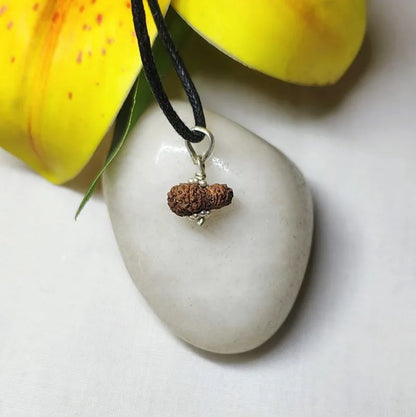 17 Mukhi Rudraksha Indonesia 11 mm