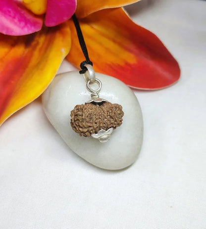17 Mukhi Rudraksha Indonesia 21 mm