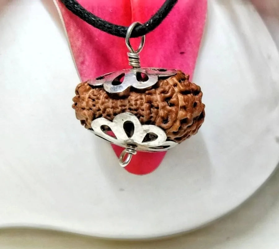 17 Mukhi Rudraksha Indonesia 19 mm