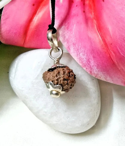 17 Mukhi Rudraksha Indonesia 13mm