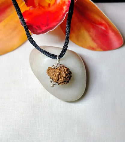 17 Mukhi Rudraksha Indonesia 18 mm