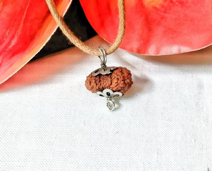 20 Mukhi Rudraksha Indonesia 13 mm