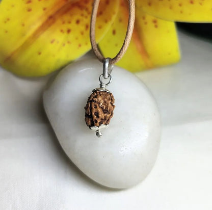 3 Mukhi Rudraksha Indonesia