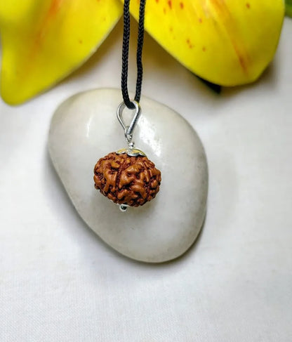 6 Mukhi Rudraksha Indonesia