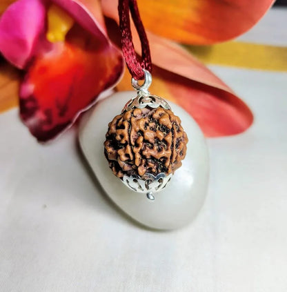 6 Mukhi Rudraksha Nepal