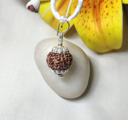 7 Mukhi Rudraksha Indonesia