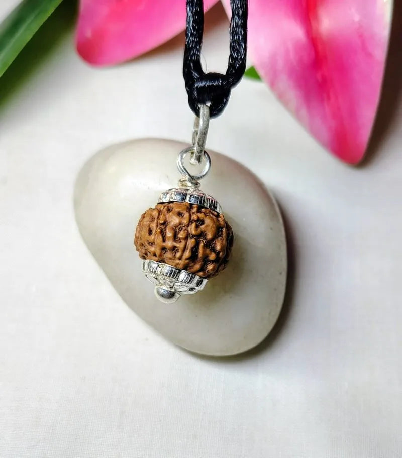 8 Mukhi Rudraksha Indonesia