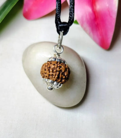 8 Mukhi Rudraksha Indonesia