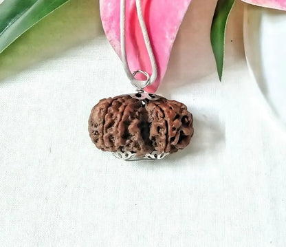 9 Mukhi Gaurishankar Rudraksha Nepal 32 mm