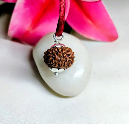 9 Mukhi Rudraksha Indonesia
