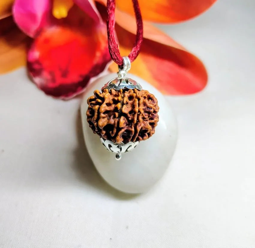 9 Mukhi Rudraksha Nepal 24 mm