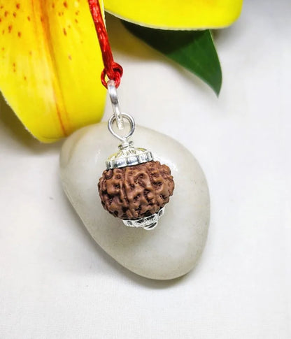 9 Mukhi Rudraksha Indonesia