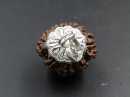 9 Mukhi Rudraksha Nepal 22 mm