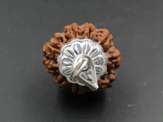 9 Mukhi Rudraksha Nepal 24 mm
