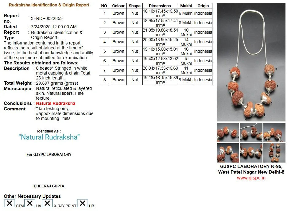 Rog Mukti Rudraksha Mala Indonesia