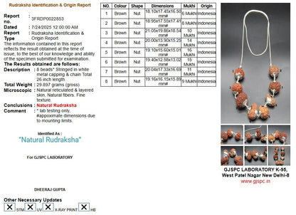 Rog Mukti Rudraksha Mala Indonesia
