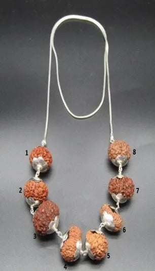 Rog Mukti Rudraksha Mala Indonesia