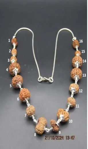 Sarva Siddha Mala 2 to 17 Mukhi Indonesia