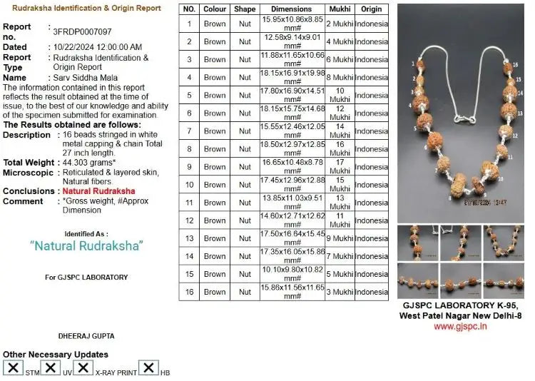 Sarva Siddha Mala 2 to 17 Mukhi Indonesia