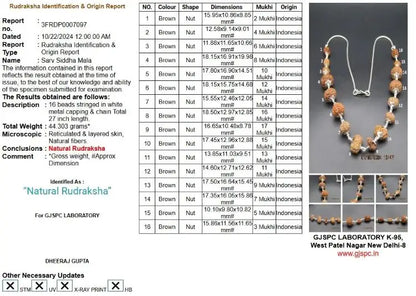 Sarva Siddha Mala 2 to 17 Mukhi Indonesia