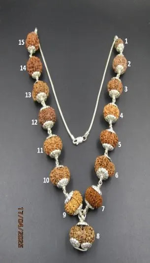Siddha Rudraksha Mala Nepal 2 to 14 Mukhi