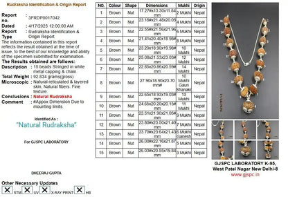 Siddha Rudraksha Mala Nepal 2 to 14 Mukhi