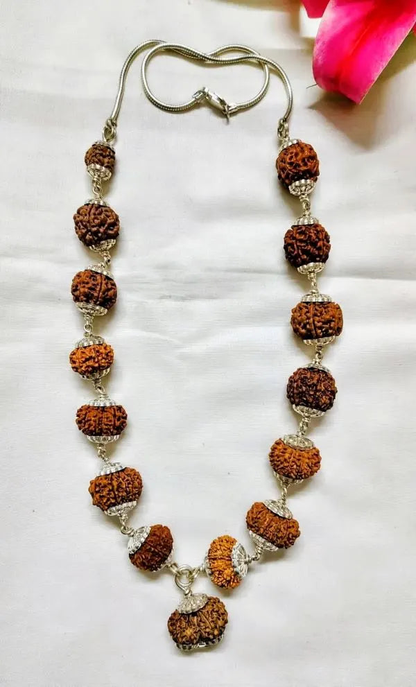 Siddha Rudraksha Mala Nepal 2 to 14 Mukhi
